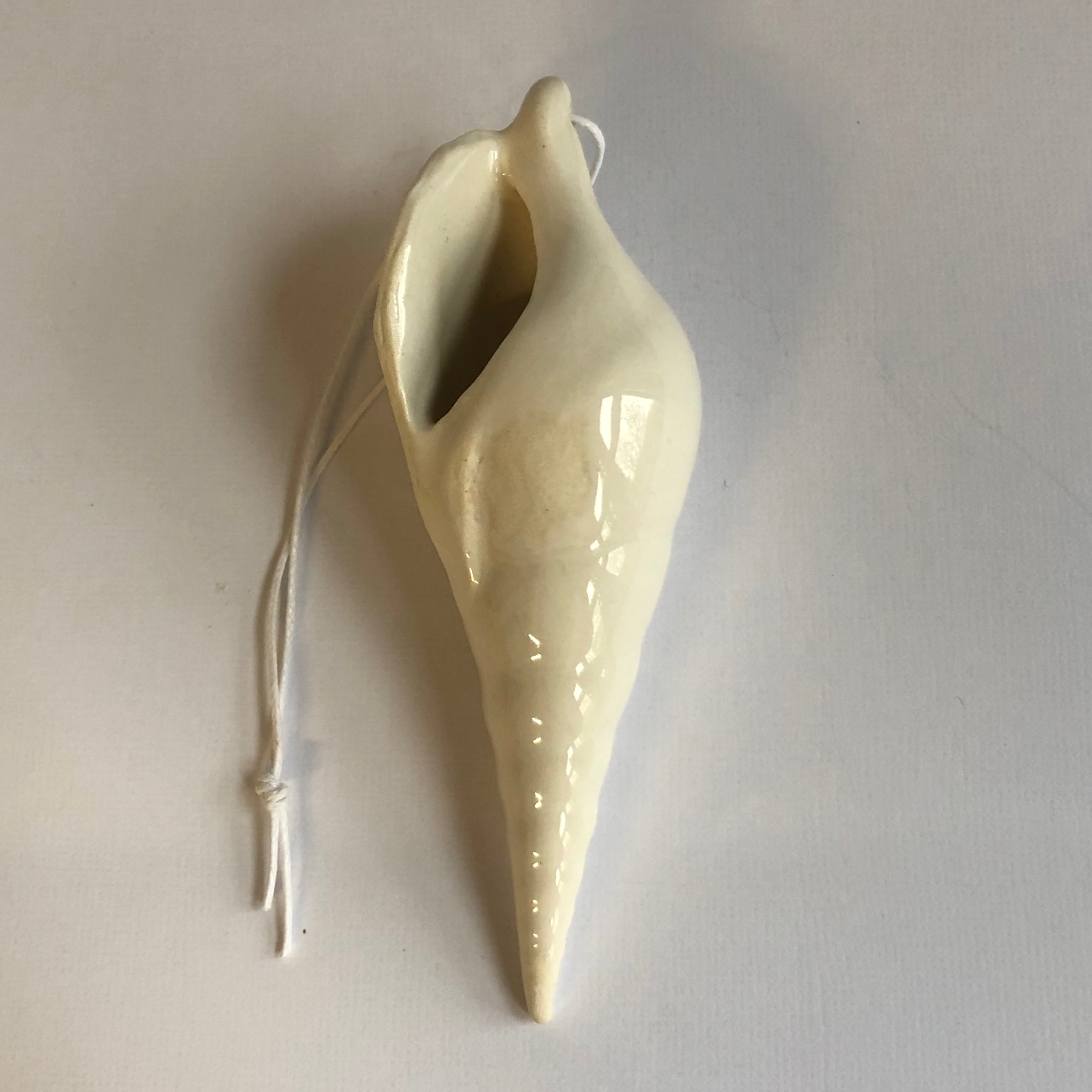 Conch shell