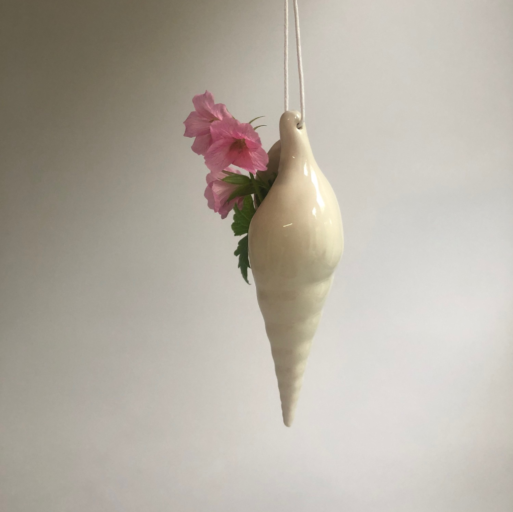 Conch shell