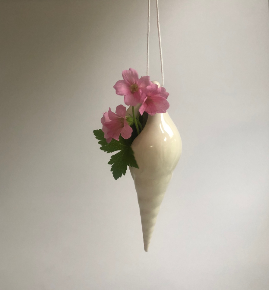 Conch shell