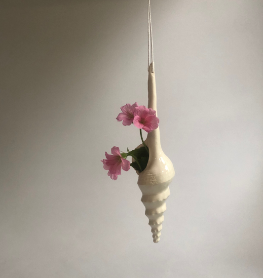 Long conch
