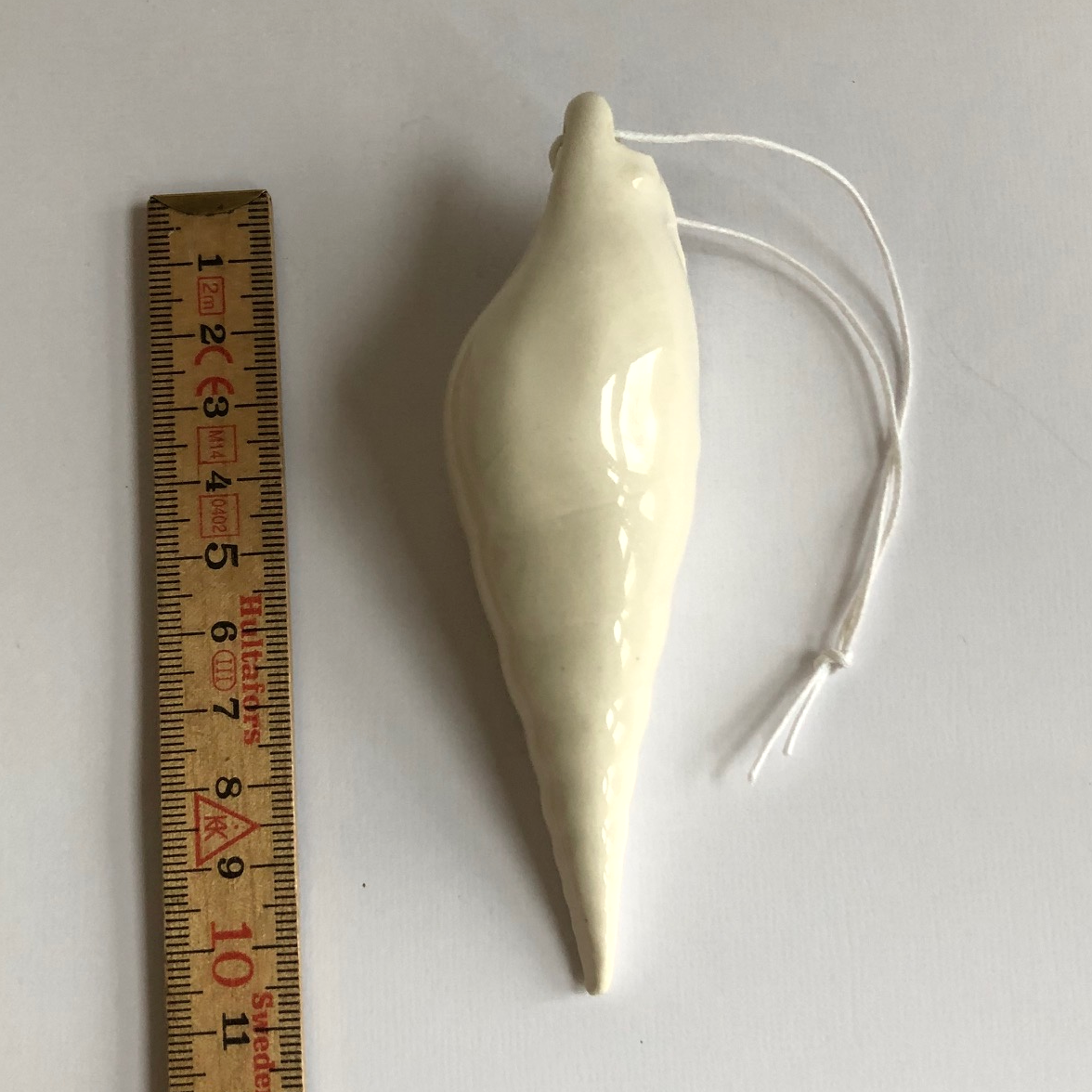 Conch shell