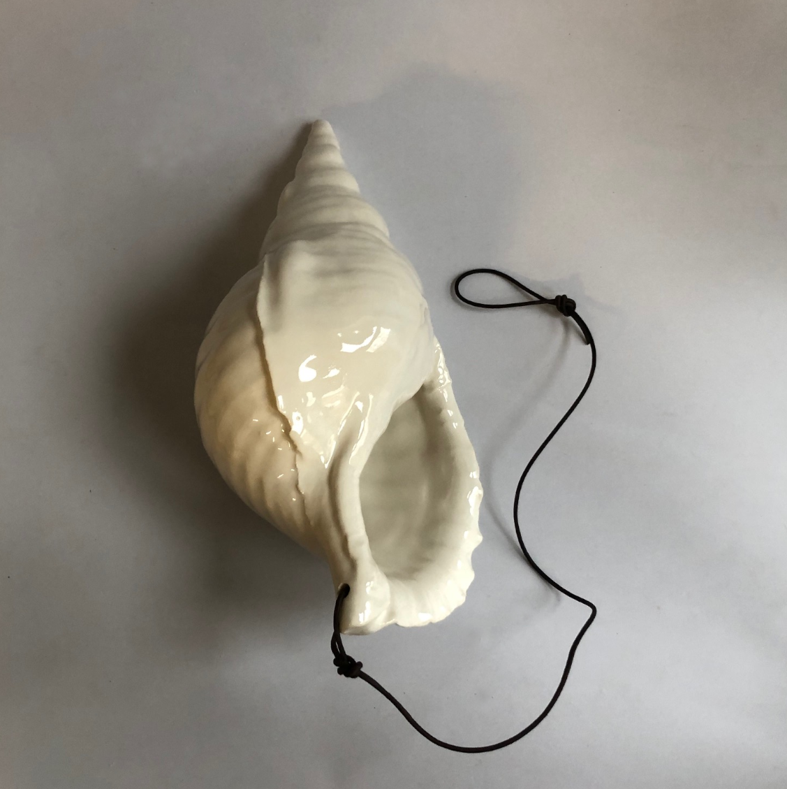 Big size trompet conch shell