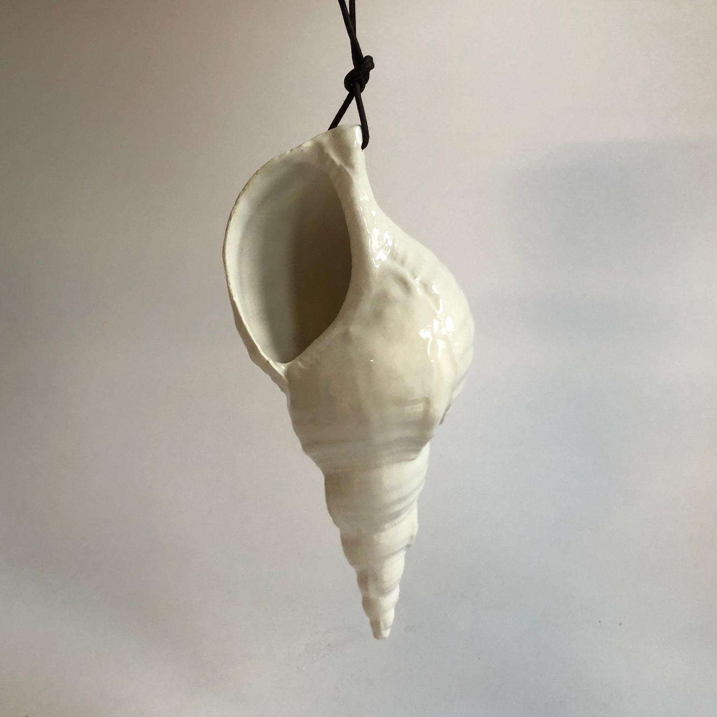 Medium size trompet conch shell