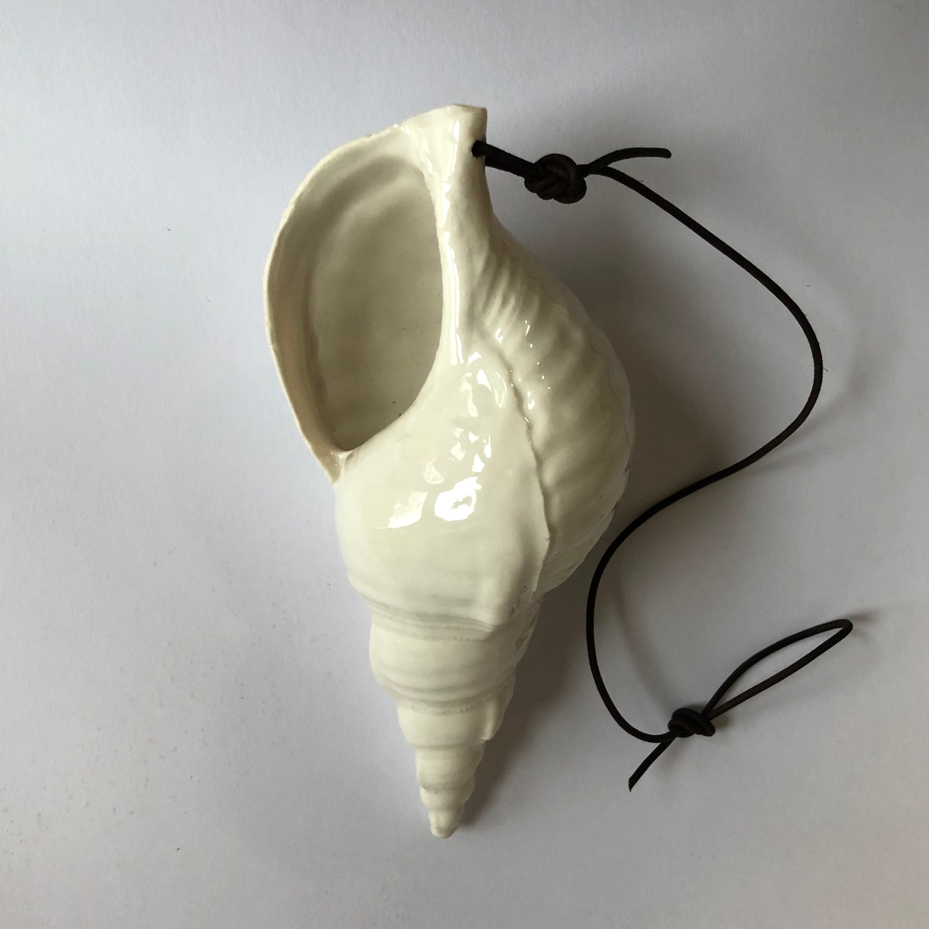 Medium size trompet conch shell